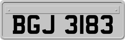 BGJ3183