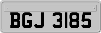 BGJ3185