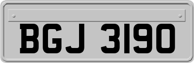 BGJ3190