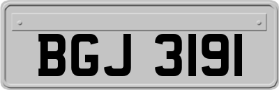 BGJ3191