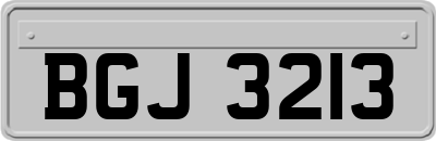 BGJ3213