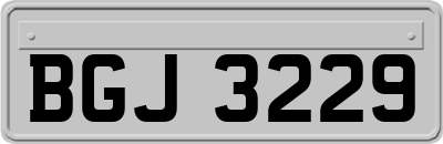 BGJ3229