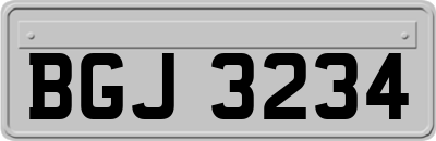 BGJ3234