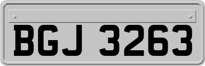 BGJ3263