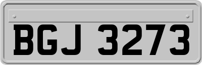 BGJ3273