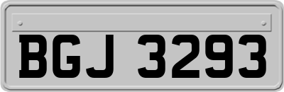 BGJ3293