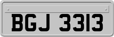 BGJ3313