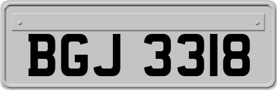 BGJ3318