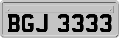 BGJ3333