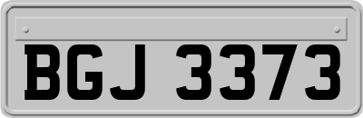 BGJ3373