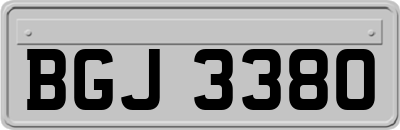 BGJ3380