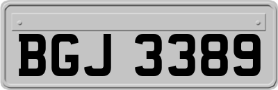 BGJ3389