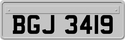 BGJ3419