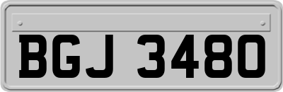 BGJ3480