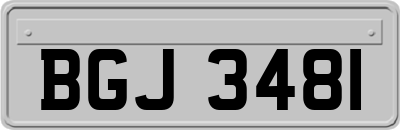 BGJ3481