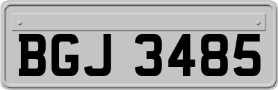 BGJ3485