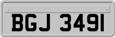 BGJ3491