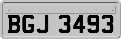 BGJ3493