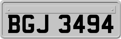 BGJ3494