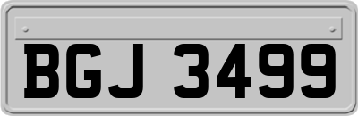 BGJ3499