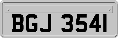 BGJ3541