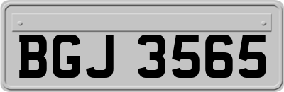 BGJ3565