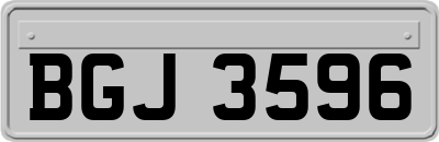 BGJ3596