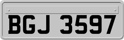 BGJ3597