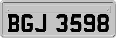 BGJ3598