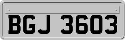BGJ3603