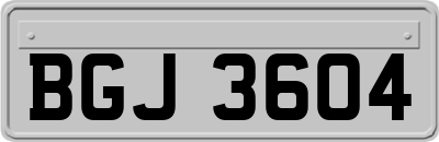 BGJ3604