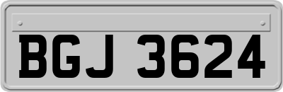 BGJ3624