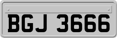 BGJ3666
