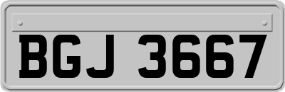 BGJ3667