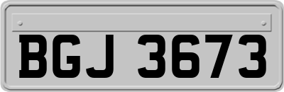 BGJ3673