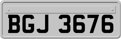 BGJ3676