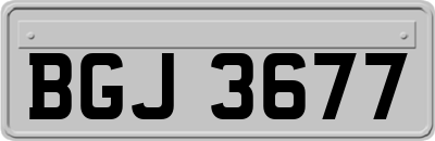 BGJ3677