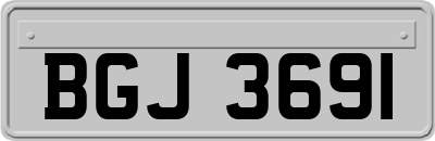BGJ3691