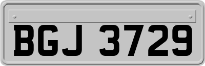 BGJ3729