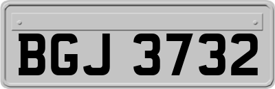 BGJ3732