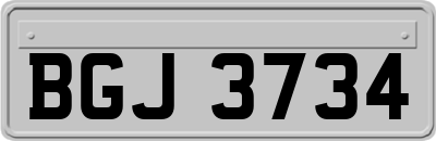 BGJ3734