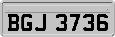 BGJ3736