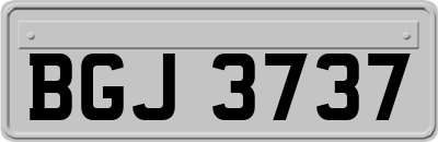 BGJ3737