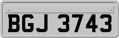 BGJ3743