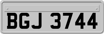 BGJ3744