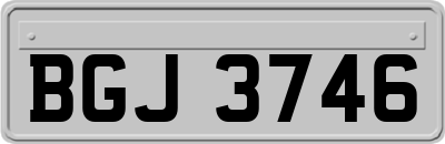 BGJ3746