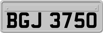 BGJ3750