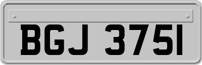 BGJ3751