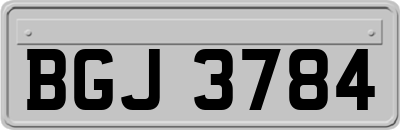 BGJ3784