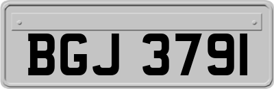 BGJ3791